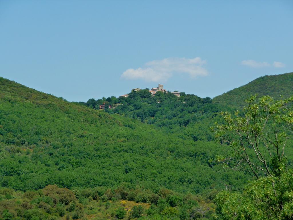 Chateau Olmet Lodeve Exterior photo